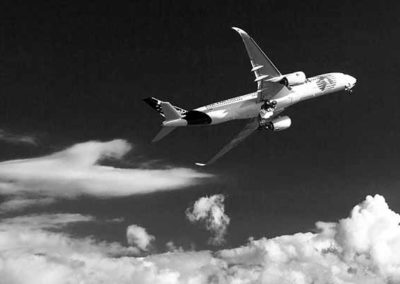 VectorLam Series: Changing Core Thickness